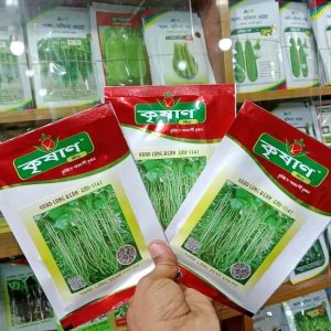 হাইব্রিড ছোট করলা নোরা