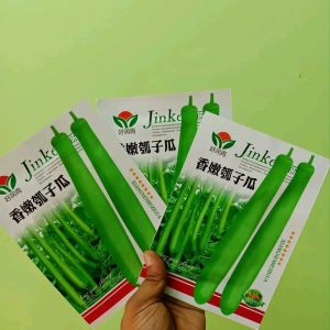 2 পেকেট বাঁশ লাউ বীজ